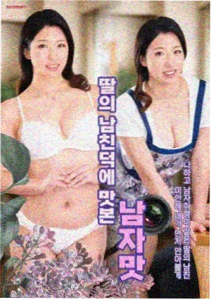 侧边推荐书目盐与罗盘封面示意